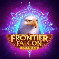 Frontier Falcon Hold 'N' LinkNetgame screenshot